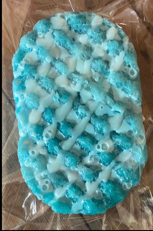 Soap Sponge - Magical Snow